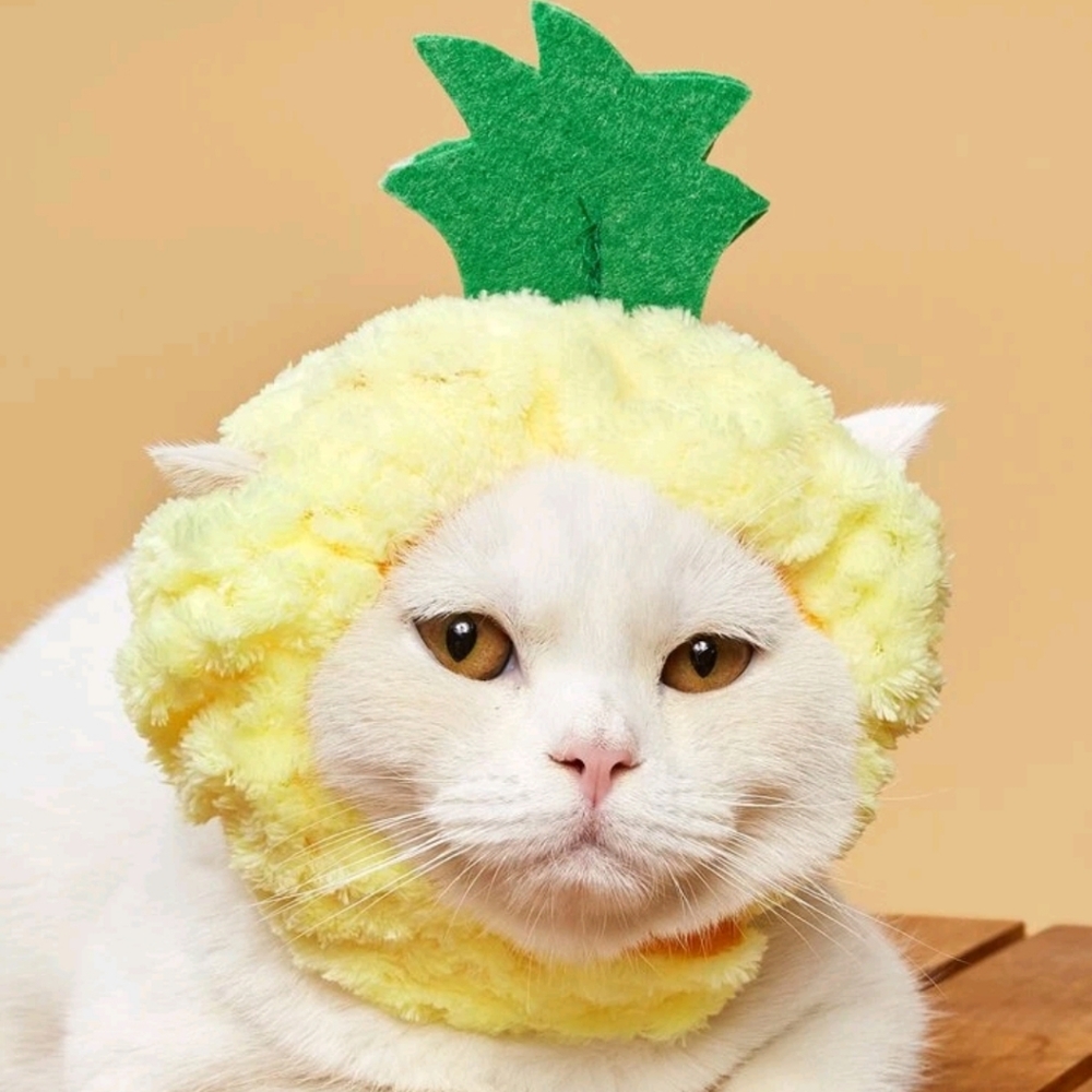 Pineapple hat for small pets